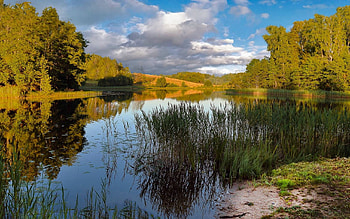 Lake in Latvia, clouds, Latvia, reeds, lake HD wallpaper
