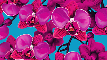 Orchids Vibrant Pink, pink, artist, artwork, digital-art HD wallpaper