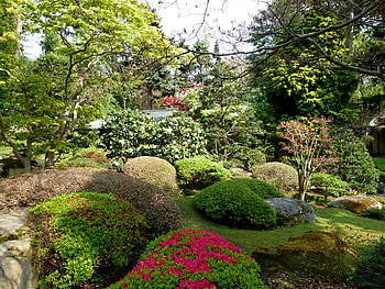 Nature, Vegetation, Garden, Flower Beds HD wallpaper