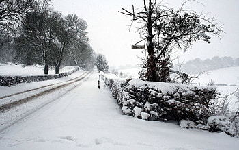 Winter, Nature, Snow, Road, Park, Fence, Hedge HD wallpaper