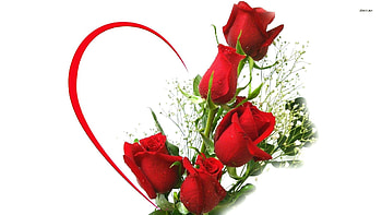 BEAUTIFULL LONG STEM PINK ROSES IN A VASE - Google Search HD wallpaper