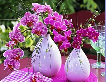 still life, purple, beautiful, flowers HD wallpaper