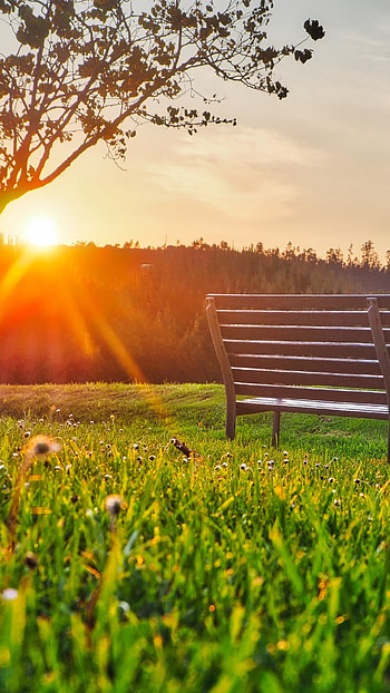 Sunset, Parks HD phone wallpaper
