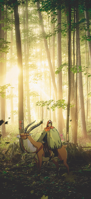 Princesse Mononoké, mononoke, plant, ghibli, princess, studioghibli, chihiro, princessmononoke, anime HD phone wallpaper