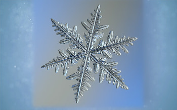 Real Snowflake, blue, winter, snowflake, ice, macro HD wallpaper