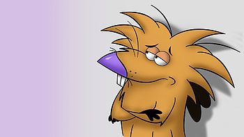 Angry Beavers, Cartoon series, Animation, Angry beavers HD wallpaper