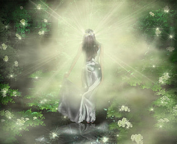 The Path Not Taken, silver, flowers, light, woman HD wallpaper