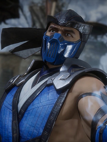 Sub-Zero Mortal Kombat 11, PC HD phone wallpaper
