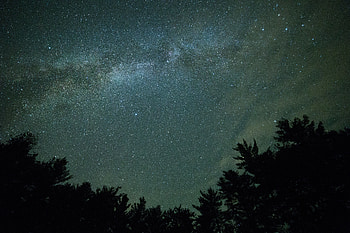Milky Way, Nature, Trees, Night, Dark, Starry Sky HD wallpaper