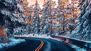 Nature, winter, forest, road HD wallpaper