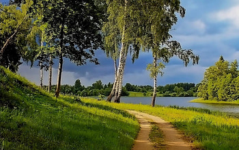 Latvian Landscape, Latvia, birches, road, lake HD wallpaper