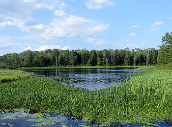 Beautiful Summer Landscape, graphy, Beautiful, Summer, Trees, Lake, Nature, Sky HD wallpaper