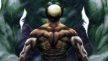 Wolverine Vs Hulk, wolverine, hulk, superheroes, behance, artwork, digital-art HD wallpaper