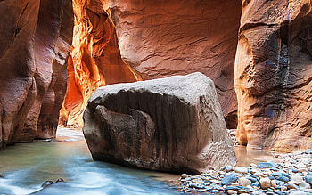 Zion National Park, , backgrounds, High quality HD wallpaper