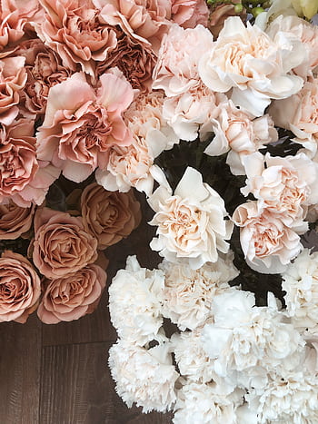 A delicate blend of pastel pink and white roses and carnations arranged elegantly. HD phone wallpaper