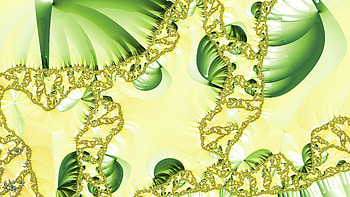 Trippy Psychedelic Fractal, trippy, psychedelic, aesthetic, Abstract, fractal HD wallpaper