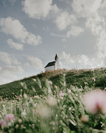 Nature, Flowers, Grass, Building, Hill, Church HD phone wallpaper
