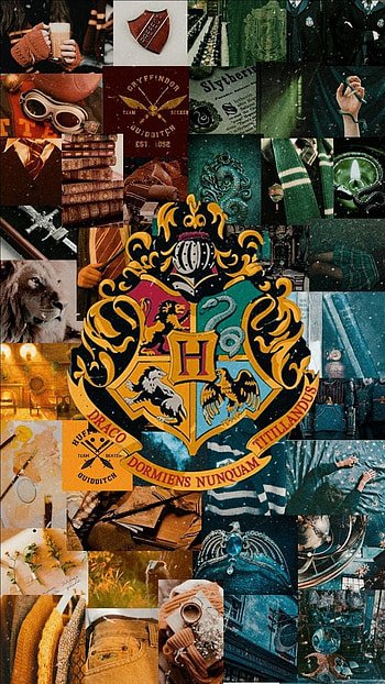 Harry Potter, art, organism HD phone wallpaper