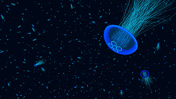 Jellyfish, jellyfish, underwater, animals HD wallpaper