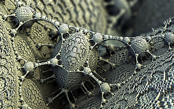 Artistic digital render, Abstract fractal beauty HD wallpaper