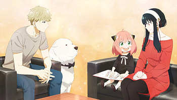 Spy x Family – Anya, Yor & Loid’s Heartwarming Family Moment, Spy x Family, Anya Forger, Yor Forger, Loid Forger HD wallpaper