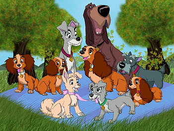 Lady And The Tramp 2, 2, The, Tramp, Lady, And HD wallpaper