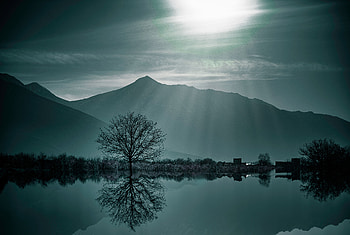Nature, Mountains, Twilight, Lake, Wood, Tree, Fog, Dusk HD wallpaper