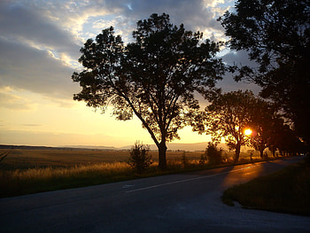 sunset, čečejovce, sky, nature, route, sunset HD wallpaper