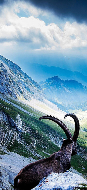 Mount Pilatus, Spectacular vista, , Breathtaking scene HD phone wallpaper