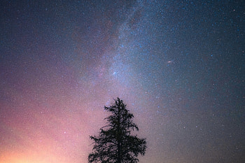 Lone Tree Beneath the Milky Way — Nature, nature, tree HD wallpaper