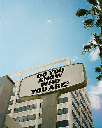 Words, Phrase, Text, Meaning, Question, Billboard HD phone wallpaper