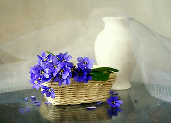 Simplicity, basket, purple flowrs, white vase, flowers, white fabric HD wallpaper