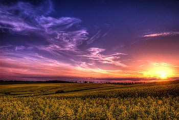 a_good_day, landscape, clouds, colors, sky, nature, grass, sun HD wallpaper