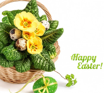 Happy Easter!, basket, egg, white, yellow, flower, green, card, easter HD wallpaper