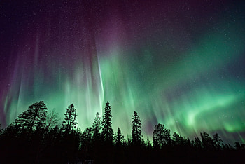 Northern lights, sky, trees, nature HD wallpaper