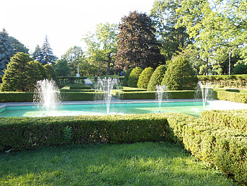 Hedge Grove at High Park, Fountains, Canada, Park, Toronto, High HD wallpaper