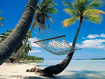 Hammock on Tropical Beach, beaches, sky, nature, hammock, palm trees HD wallpaper