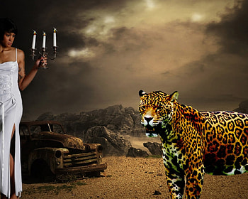 in a broken dream, candles, girl, leopard, rusty car HD wallpaper