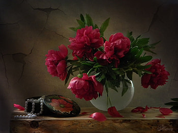 Peonies in a jug, Flowers, Jug, Petals, Red HD wallpaper
