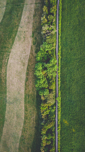 Nature, Trees, View From Above, Road, Field HD phone wallpaper