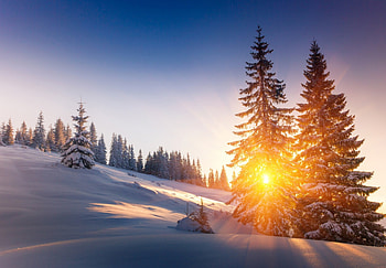 Winter Sun, winter, landscape, sunrise, snow, trees, view, nature, sky, mountains, splendor, winter time, sun, sunset HD wallpaper