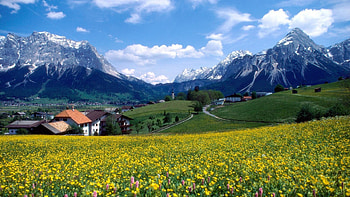 Mt Zugspitze, Bavaria, Germany, landscape, meadow, spring, houses, clouds, sky, flowers, alps, village HD wallpaper