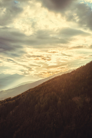 Nature, Mountains, Clouds, Forest, Slope HD phone wallpaper