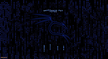 Kali Linux background, Kali Linux Black HD wallpaper
