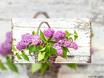 LOVELY LILACS, LILACS, LOVELY, FRAMED HD wallpaper