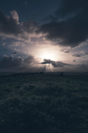 Nature, Grass, Clouds, Field, Cloudy HD phone wallpaper