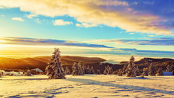 Germany, Black Forest, Feldberg, snow, winter, clouds, landscape, trees, sky HD wallpaper