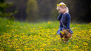 Little girl, Flowers, Summer, Girl, Bear HD wallpaper