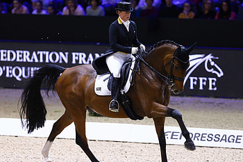 FEI World Cup, Dressage HD wallpaper