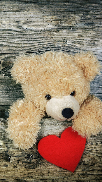 Teddy Bear, poster HD phone wallpaper